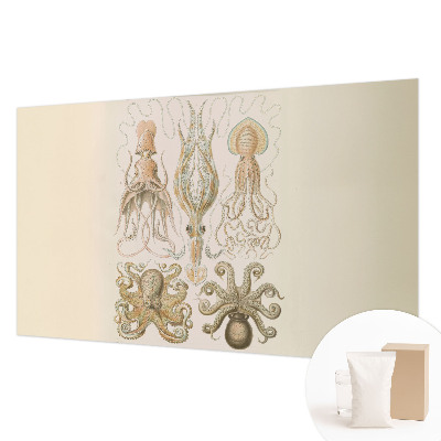 Dekoracyjna fototapeta na ścianę Dekoracyjna fototapeta na ścianę Morskie życie