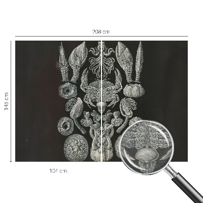 Fototapeta fizelinowa z nadrukiem Fototapeta fizelinowa z nadrukiem Podwodne formy