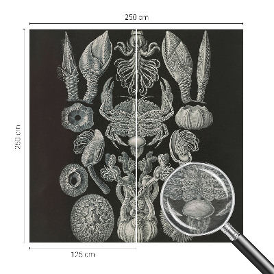Fototapeta fizelinowa z nadrukiem Fototapeta fizelinowa z nadrukiem Podwodne formy