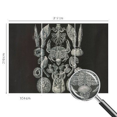 Fototapeta fizelinowa z nadrukiem Fototapeta fizelinowa z nadrukiem Podwodne formy