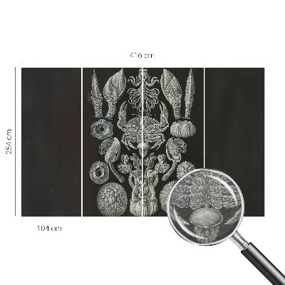 Fototapeta fizelinowa z nadrukiem Fototapeta fizelinowa z nadrukiem Podwodne formy