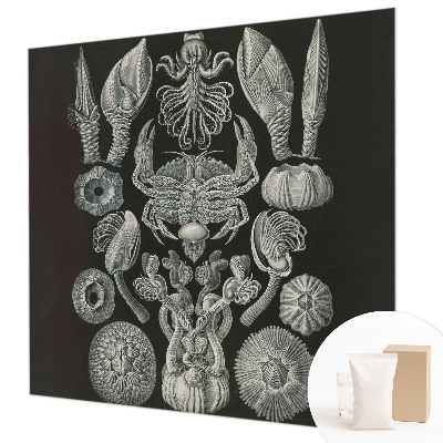 Fototapeta fizelinowa z nadrukiem Fototapeta fizelinowa z nadrukiem Podwodne formy