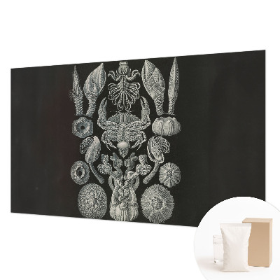 Fototapeta fizelinowa z nadrukiem Fototapeta fizelinowa z nadrukiem Podwodne formy