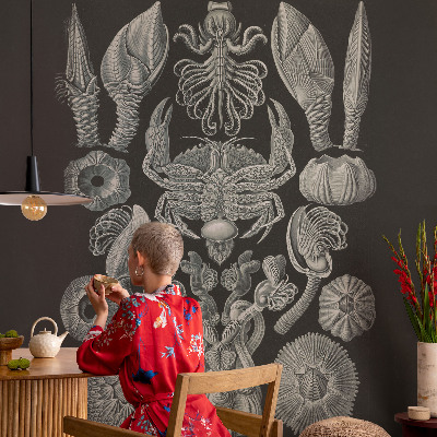 Fototapeta fizelinowa z nadrukiem Fototapeta fizelinowa z nadrukiem Podwodne formy