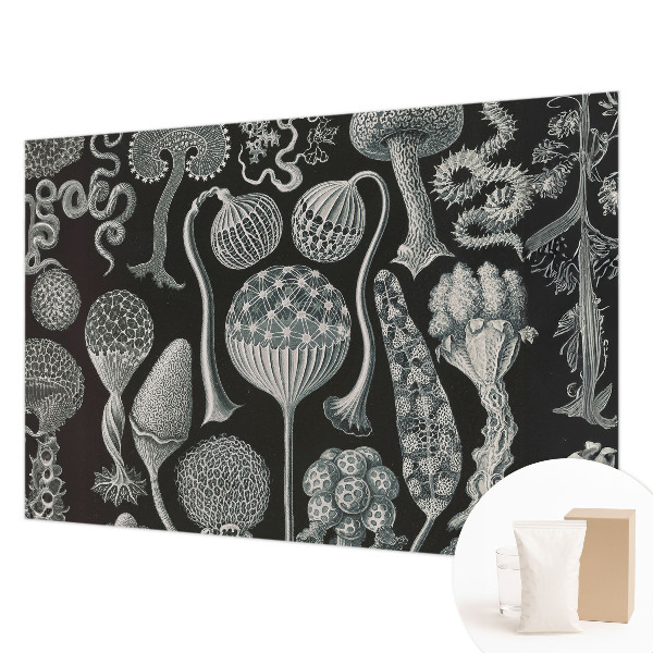 Fototapeta fizelinowa do sypialni Fototapeta fizelinowa do sypialni Magiczne rośliny