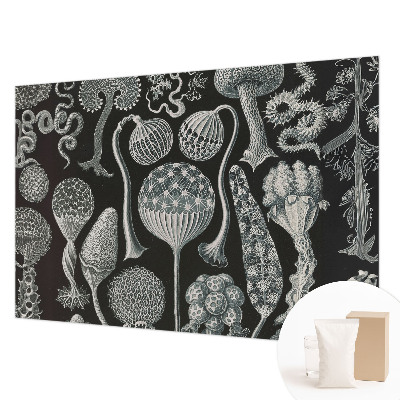 Fototapeta fizelinowa do sypialni Fototapeta fizelinowa do sypialni Magiczne rośliny