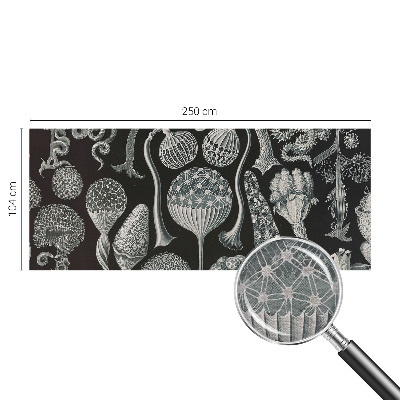 Fototapeta fizelinowa do sypialni Fototapeta fizelinowa do sypialni Magiczne rośliny