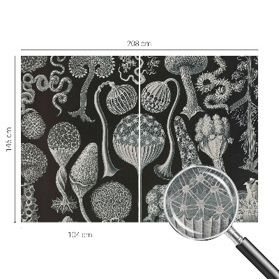 Fototapeta fizelinowa do sypialni Fototapeta fizelinowa do sypialni Magiczne rośliny