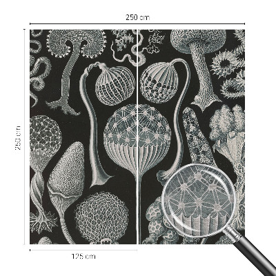 Fototapeta fizelinowa do sypialni Fototapeta fizelinowa do sypialni Magiczne rośliny