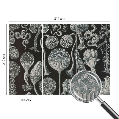 Fototapeta fizelinowa do sypialni Fototapeta fizelinowa do sypialni Magiczne rośliny