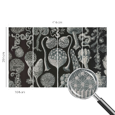 Fototapeta fizelinowa do sypialni Fototapeta fizelinowa do sypialni Magiczne rośliny