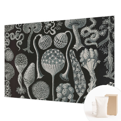 Fototapeta fizelinowa do sypialni Fototapeta fizelinowa do sypialni Magiczne rośliny