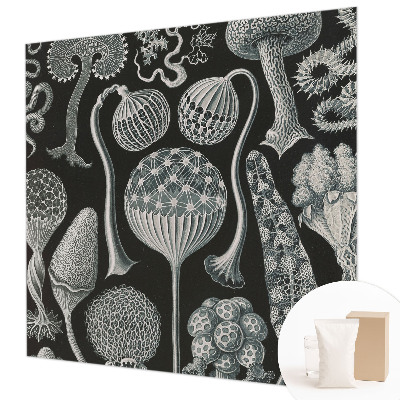 Fototapeta fizelinowa do sypialni Fototapeta fizelinowa do sypialni Magiczne rośliny