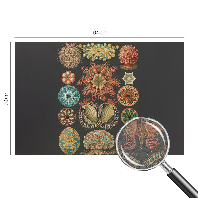 Dekoracyjna fototapeta na ścianę Dekoracyjna fototapeta na ścianę Morskie inspiracje