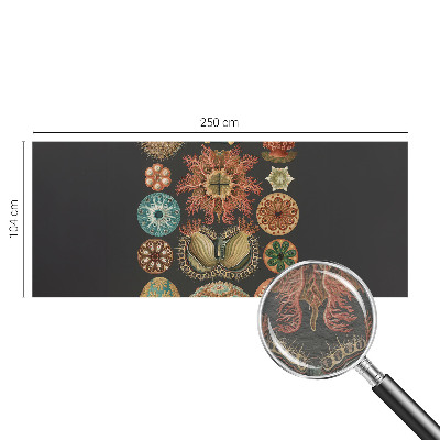 Dekoracyjna fototapeta na ścianę z motywem inspirowanym morzem