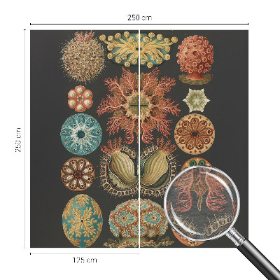 Dekoracyjna fototapeta na ścianę Dekoracyjna fototapeta na ścianę Morskie inspiracje