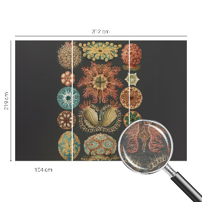 Dekoracyjna fototapeta na ścianę Dekoracyjna fototapeta na ścianę Morskie inspiracje