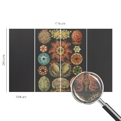 Dekoracyjna fototapeta na ścianę Dekoracyjna fototapeta na ścianę Morskie inspiracje