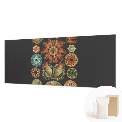 Dekoracyjna fototapeta na ścianę Dekoracyjna fototapeta na ścianę Morskie inspiracje