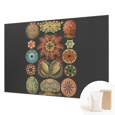 Dekoracyjna fototapeta na ścianę Dekoracyjna fototapeta na ścianę Morskie inspiracje