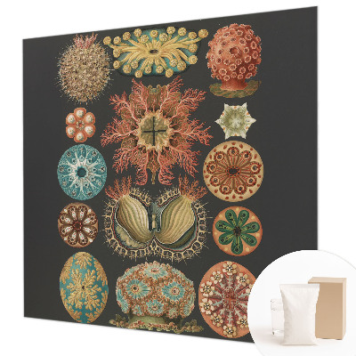 Dekoracyjna fototapeta na ścianę Dekoracyjna fototapeta na ścianę Morskie inspiracje