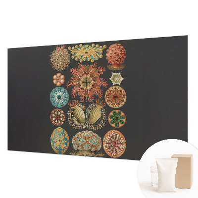 Dekoracyjna fototapeta na ścianę Dekoracyjna fototapeta na ścianę Morskie inspiracje