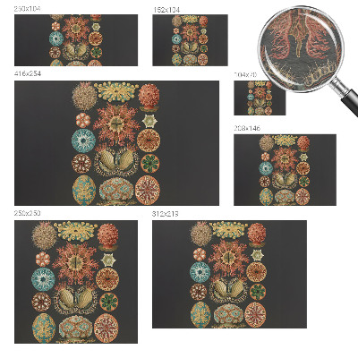 Dekoracyjna fototapeta na ścianę Dekoracyjna fototapeta na ścianę Morskie inspiracje