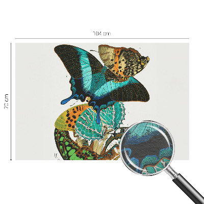 Nowoczesna fototapeta do salonu Barwne motyle