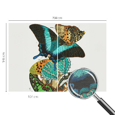 Nowoczesna fototapeta do salonu Barwne motyle