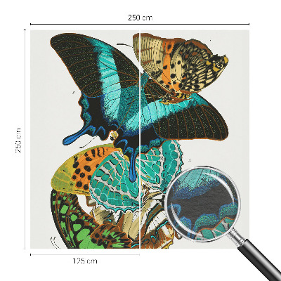 Nowoczesna fototapeta do salonu Barwne motyle