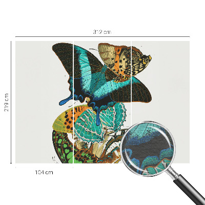 Nowoczesna fototapeta do salonu Barwne motyle