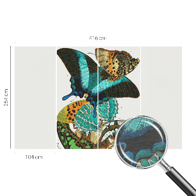 Nowoczesna fototapeta do salonu Barwne motyle