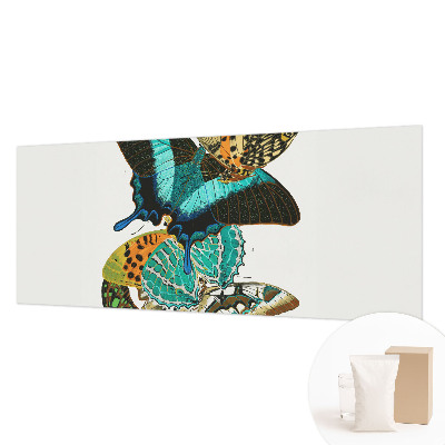 Nowoczesna fototapeta do salonu Barwne motyle