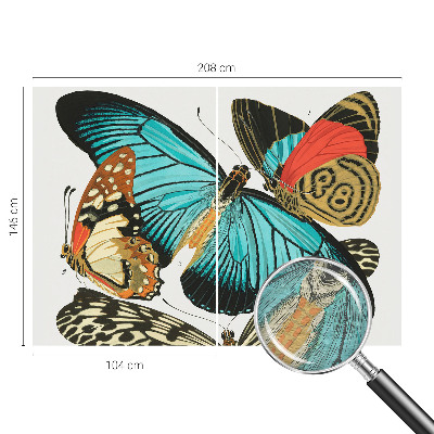 Dekoracyjna fototapeta na ścianę Barwne motyle