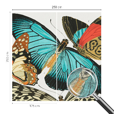 Dekoracyjna fototapeta na ścianę Barwne motyle