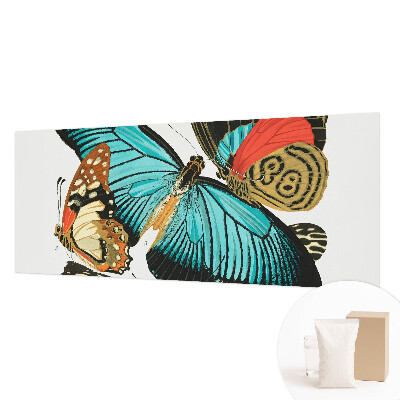 Dekoracyjna fototapeta na ścianę Barwne motyle