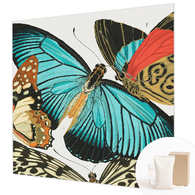 Dekoracyjna fototapeta na ścianę Barwne motyle