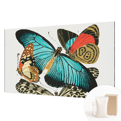 Dekoracyjna fototapeta na ścianę Barwne motyle