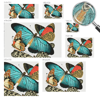 Dekoracyjna fototapeta na ścianę Barwne motyle