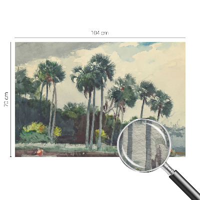 Fototapeta na ścianę z motywem egzotycznych palm
