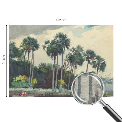 Fototapeta na ścianę z motywem egzotycznych palm