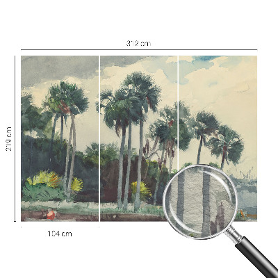 Fototapeta na ścianę z motywem egzotycznych palm