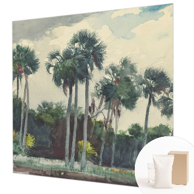 Fototapeta na ścianę Egzotyczne palmy