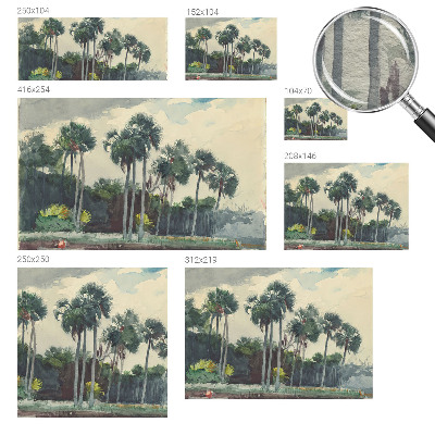 Fototapeta na ścianę z motywem egzotycznych palm