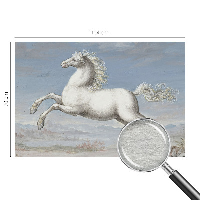 Tapeta fotograficzna fizelinowa Tapeta fotograficzna fizelinowa Konie w skoku