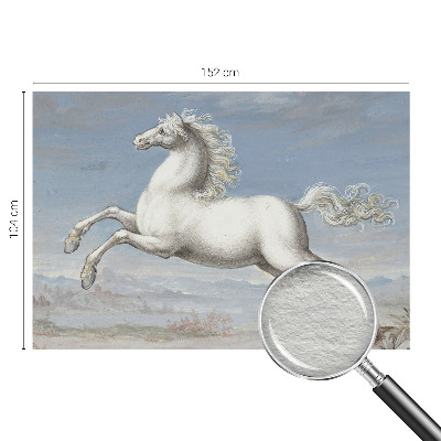 Tapeta fotograficzna fizelinowa Tapeta fotograficzna fizelinowa Konie w skoku