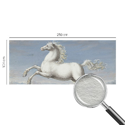 Tapeta fotograficzna fizelinowa Tapeta fotograficzna fizelinowa Konie w skoku