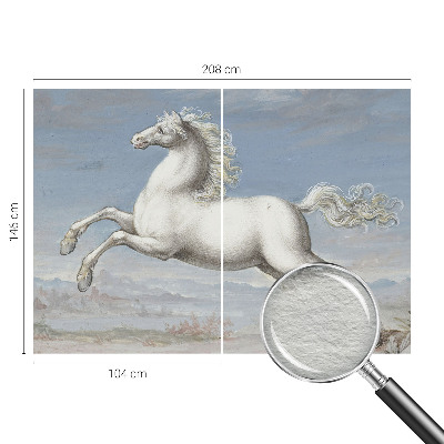 Tapeta fotograficzna fizelinowa Tapeta fotograficzna fizelinowa Konie w skoku