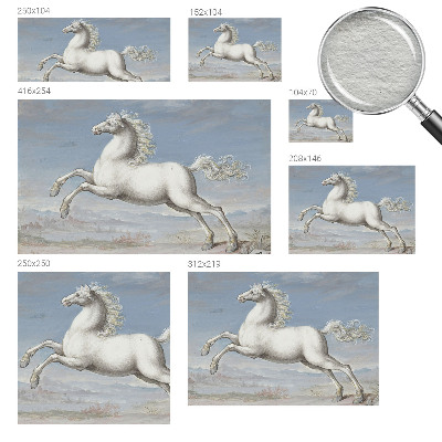 Tapeta fotograficzna fizelinowa Tapeta fotograficzna fizelinowa Konie w skoku