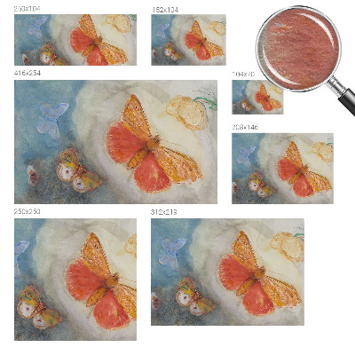 Fototapeta fizelinowa do sypialni Fototapeta fizelinowa do sypialni Barwne motyle